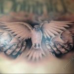 photo tattoo pigeon 03.03.2019 №161 - idea for drawing pigeon tattoo - tattoovalue.net