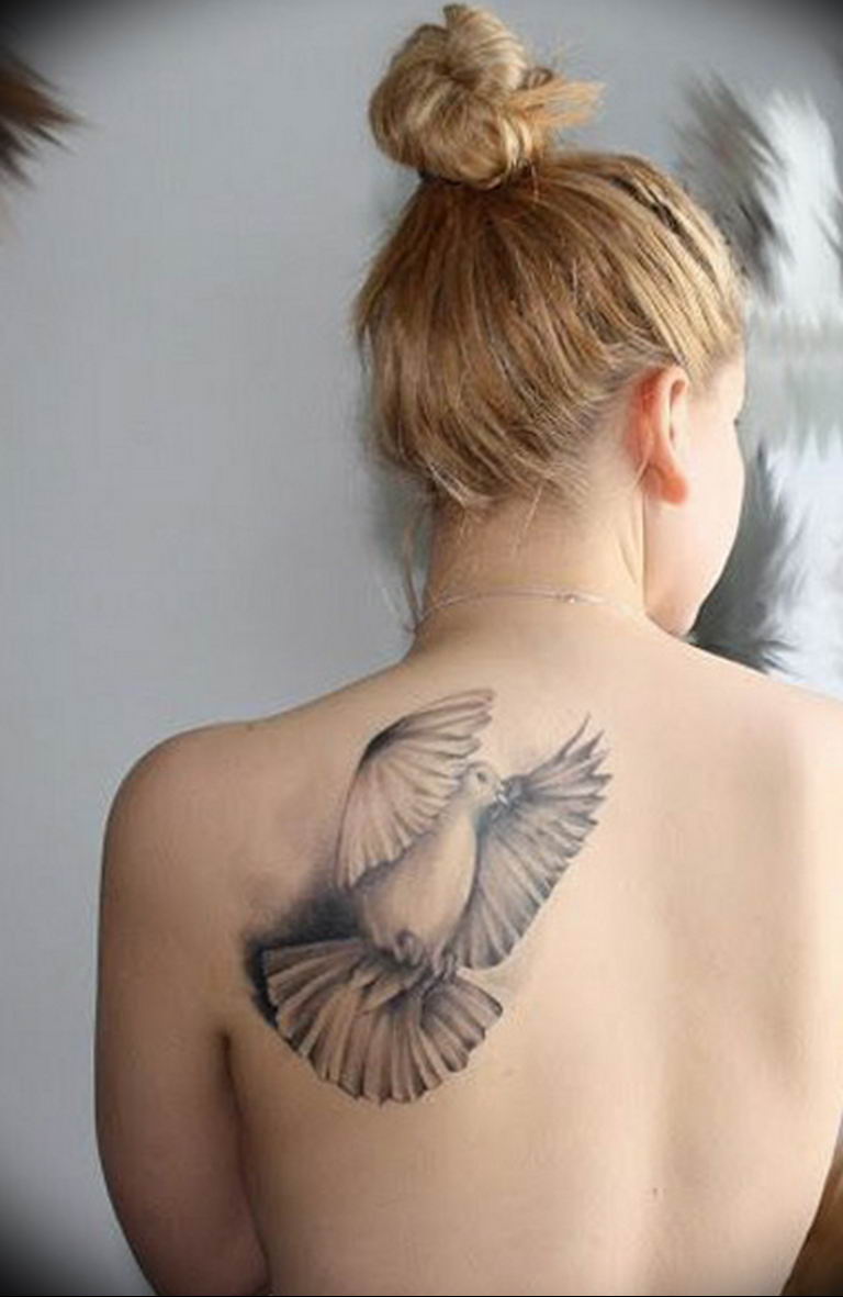 photo tattoo pigeon 03.03.2019 №163 - idea for drawing pigeon tattoo - tattoovalue.net