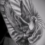 photo tattoo pigeon 03.03.2019 №168 - idea for drawing pigeon tattoo - tattoovalue.net