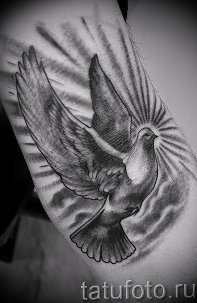 photo tattoo pigeon 03.03.2019 №168 - idea for drawing pigeon tattoo - tattoovalue.net