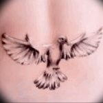 photo tattoo pigeon 03.03.2019 №169 - idea for drawing pigeon tattoo - tattoovalue.net