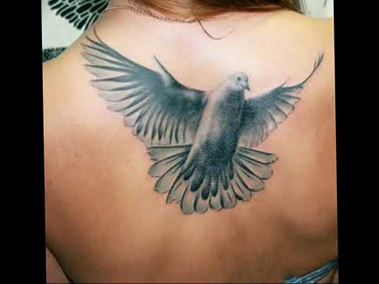 photo tattoo pigeon 03.03.2019 №175 - idea for drawing pigeon tattoo - tattoovalue.net