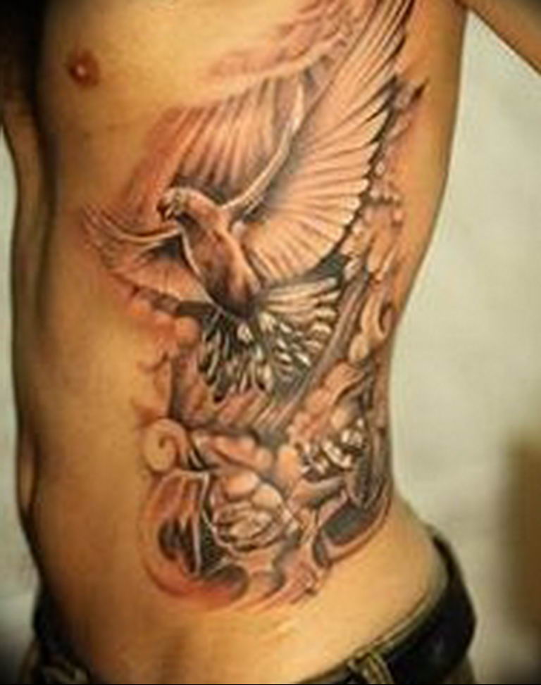 photo tattoo pigeon 03.03.2019 №176 - idea for drawing pigeon tattoo - tattoovalue.net