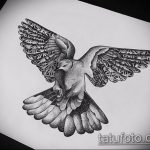 photo tattoo pigeon 03.03.2019 №177 - idea for drawing pigeon tattoo - tattoovalue.net