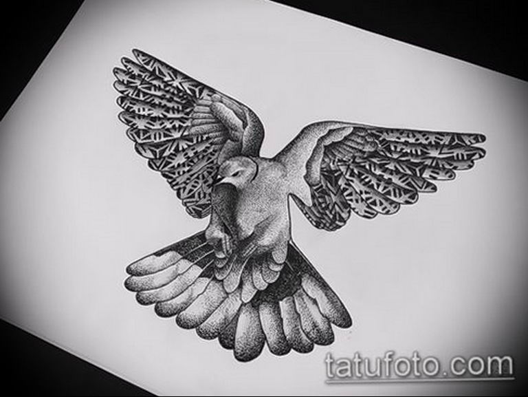 photo tattoo pigeon 03.03.2019 №177 - idea for drawing pigeon tattoo - tattoovalue.net