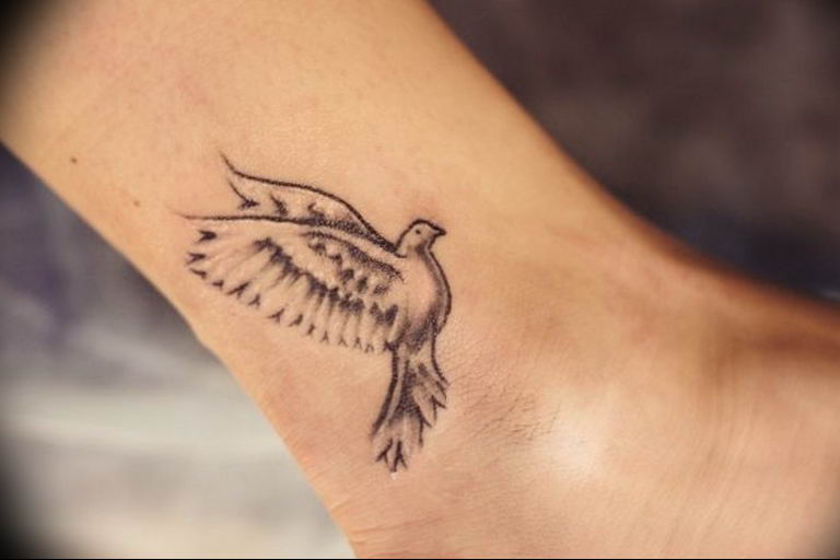 photo tattoo pigeon 03.03.2019 №178 - idea for drawing pigeon tattoo - tattoovalue.net