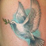 photo tattoo pigeon 03.03.2019 №180 - idea for drawing pigeon tattoo - tattoovalue.net