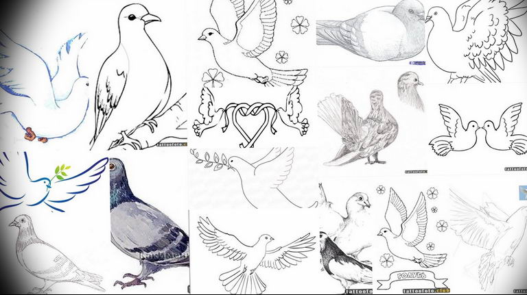 photo tattoo pigeon 03.03.2019 №191 - idea for drawing pigeon tattoo - tattoovalue.net