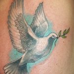 photo tattoo pigeon 03.03.2019 №199 - idea for drawing pigeon tattoo - tattoovalue.net