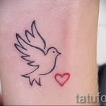 photo tattoo pigeon 03.03.2019 №203 - idea for drawing pigeon tattoo - tattoovalue.net