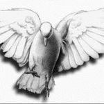 photo tattoo pigeon 03.03.2019 №206 - idea for drawing pigeon tattoo - tattoovalue.net