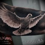 Black and grey realism dove tattoo on an arm, showcasing detailed feather work, dynamic wings, and a powerful sense of flight.