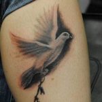 photo tattoo pigeon 03.03.2019 №222 - idea for drawing pigeon tattoo - tattoovalue.net