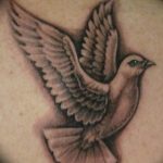 photo tattoo pigeon 03.03.2019 №224 - idea for drawing pigeon tattoo - tattoovalue.net