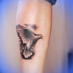 photo tattoo pigeon 03.03.2019 №225 - idea for drawing pigeon tattoo - tattoovalue.net