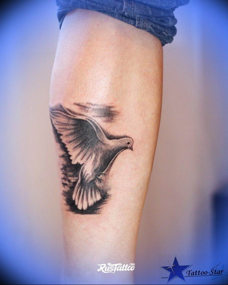 photo tattoo pigeon 03.03.2019 №225 - idea for drawing pigeon tattoo - tattoovalue.net