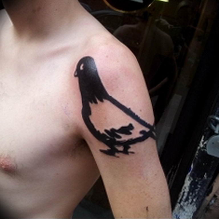 photo tattoo pigeon 03.03.2019 №226 - idea for drawing pigeon tattoo - tattoovalue.net