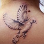 photo tattoo pigeon 03.03.2019 №229 - idea for drawing pigeon tattoo - tattoovalue.net