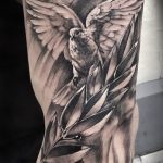 photo tattoo pigeon 03.03.2019 №232 - idea for drawing pigeon tattoo - tattoovalue.net