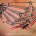 photo tattoo pigeon 03.03.2019 №233 - idea for drawing pigeon tattoo - tattoovalue.net