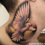 photo tattoo pigeon 03.03.2019 №235 - idea for drawing pigeon tattoo - tattoovalue.net