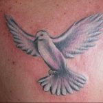 photo tattoo pigeon 03.03.2019 №238 - idea for drawing pigeon tattoo - tattoovalue.net