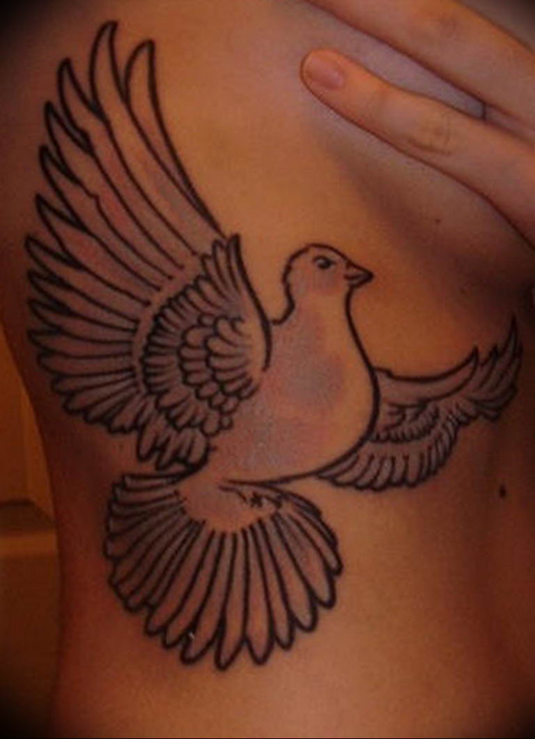 photo tattoo pigeon 03.03.2019 №239 - idea for drawing pigeon tattoo - tattoovalue.net