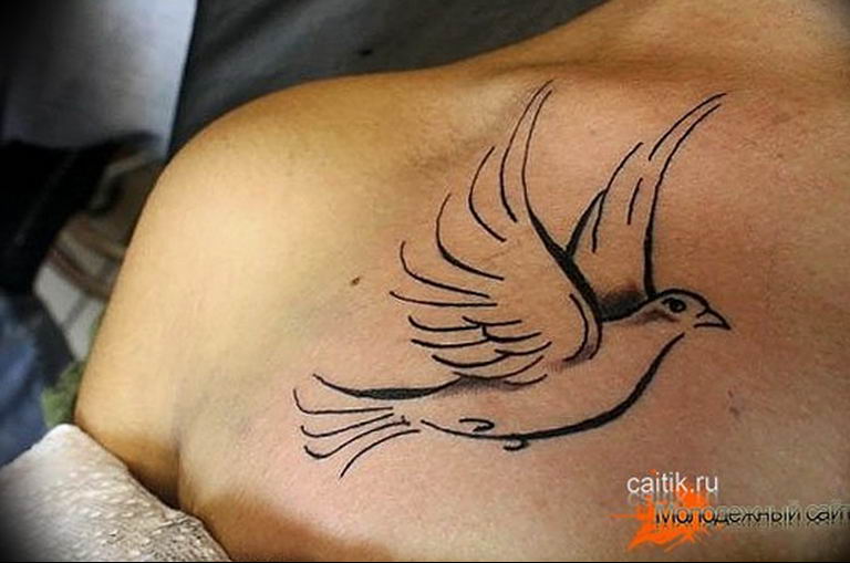 photo tattoo pigeon 03.03.2019 №240 - idea for drawing pigeon tattoo - tattoovalue.net