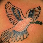 photo tattoo pigeon 03.03.2019 №241 - idea for drawing pigeon tattoo - tattoovalue.net