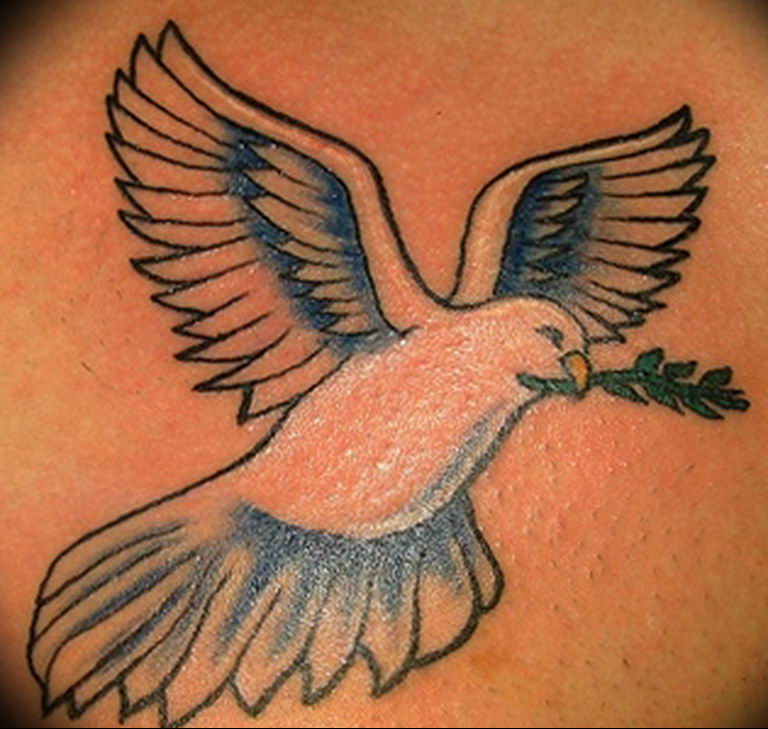 photo tattoo pigeon 03.03.2019 №241 - idea for drawing pigeon tattoo - tattoovalue.net