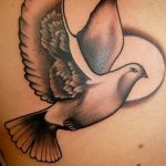 photo tattoo pigeon 03.03.2019 №245 - idea for drawing pigeon tattoo - tattoovalue.net