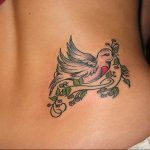 photo tattoo pigeon 03.03.2019 №246 - idea for drawing pigeon tattoo - tattoovalue.net