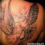 photo tattoo pigeon 03.03.2019 №252 - idea for drawing pigeon tattoo - tattoovalue.net