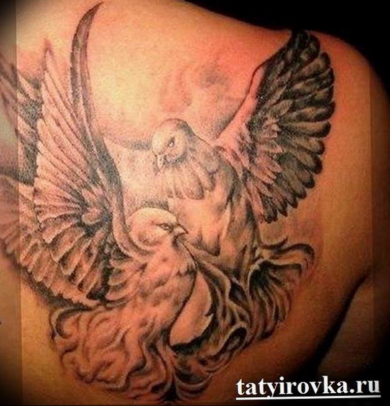 photo tattoo pigeon 03.03.2019 №252 - idea for drawing pigeon tattoo - tattoovalue.net