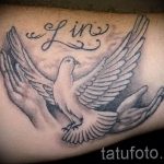 photo tattoo pigeon 03.03.2019 №255 - idea for drawing pigeon tattoo - tattoovalue.net