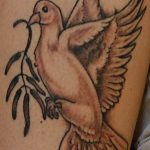 photo tattoo pigeon 03.03.2019 №259 - idea for drawing pigeon tattoo - tattoovalue.net