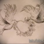 photo tattoo pigeon 03.03.2019 №260 - idea for drawing pigeon tattoo - tattoovalue.net