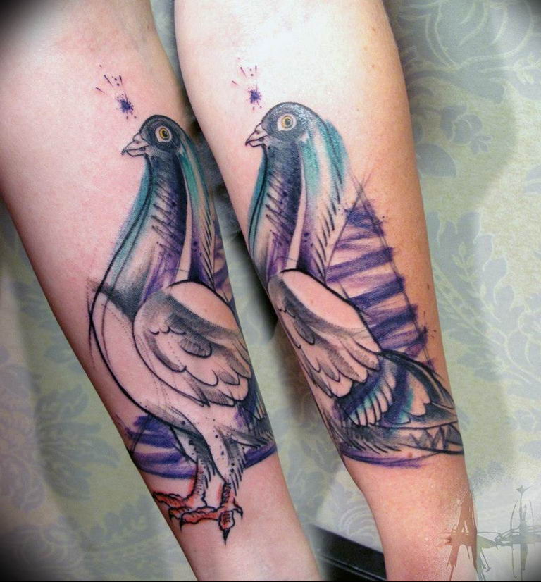 photo tattoo pigeon 03.03.2019 №262 - idea for drawing pigeon tattoo - tattoovalue.net