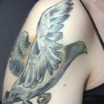 photo tattoo pigeon 03.03.2019 №266 - idea for drawing pigeon tattoo - tattoovalue.net