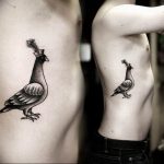 photo tattoo pigeon 03.03.2019 №271 - idea for drawing pigeon tattoo - tattoovalue.net