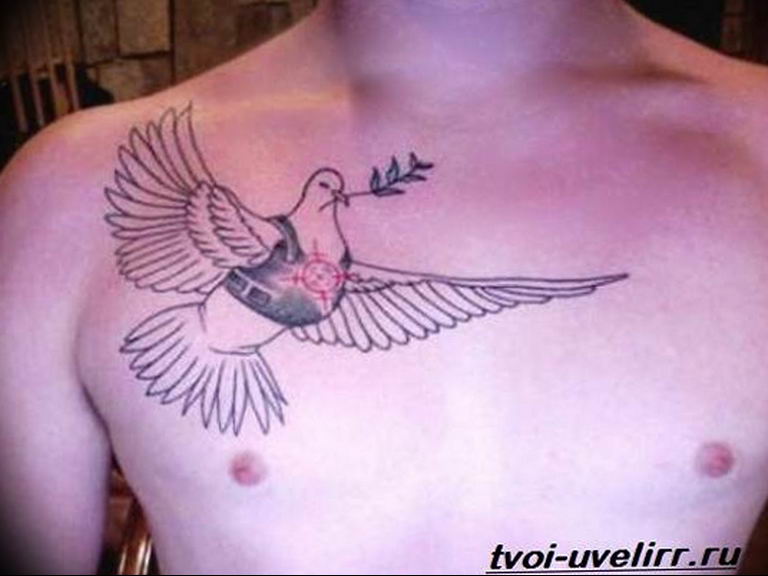 photo tattoo pigeon 03.03.2019 №279 - idea for drawing pigeon tattoo - tattoovalue.net