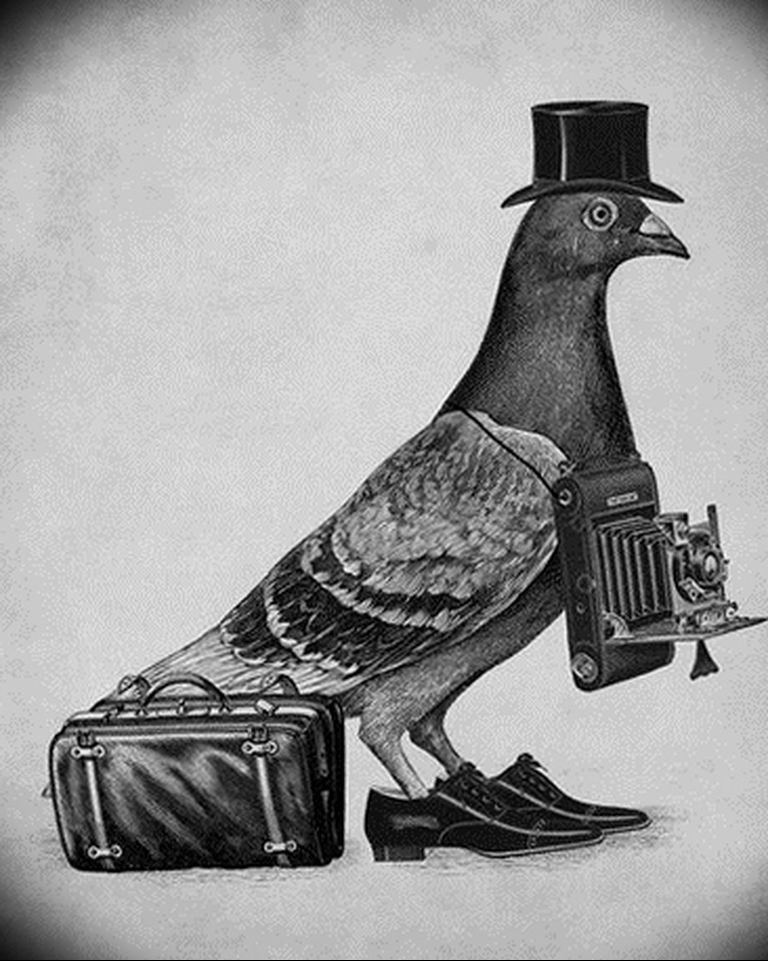 photo tattoo pigeon 03.03.2019 №282 - idea for drawing pigeon tattoo - tattoovalue.net