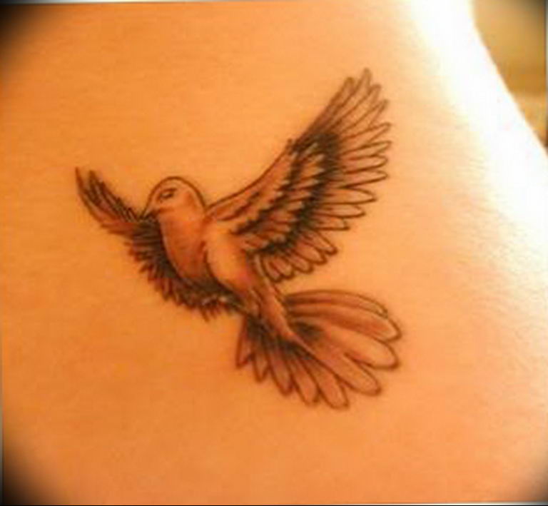 photo tattoo pigeon 03.03.2019 №289 - idea for drawing pigeon tattoo - tattoovalue.net
