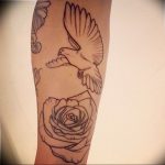 photo tattoo pigeon 03.03.2019 №314 - idea for drawing pigeon tattoo - tattoovalue.net