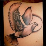 photo tattoo pigeon 03.03.2019 №322 - idea for drawing pigeon tattoo - tattoovalue.net