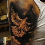 photo tattoo pigeon 03.03.2019 №328 - idea for drawing pigeon tattoo - tattoovalue.net