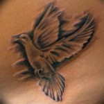 photo tattoo pigeon 03.03.2019 №331 - idea for drawing pigeon tattoo - tattoovalue.net