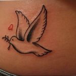 photo tattoo pigeon 03.03.2019 №334 - idea for drawing pigeon tattoo - tattoovalue.net