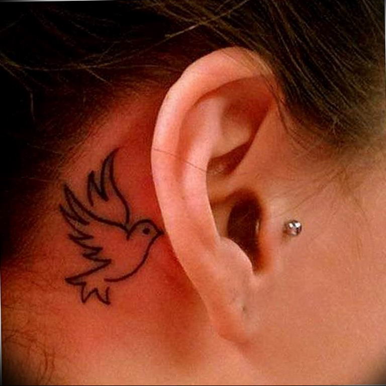 photo tattoo pigeon 03.03.2019 №337 - idea for drawing pigeon tattoo - tattoovalue.net