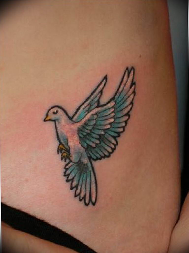 photo tattoo pigeon 03.03.2019 №353 - idea for drawing pigeon tattoo - tattoovalue.net